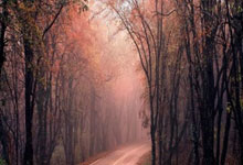 阿斯：居勒尔在比赛中对抗全部成功，需要连续性和信心.：黑白体育