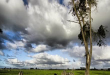 森林狼vs太阳前瞻:华子大战杜兰特,太阳能否终结对苦主7连败?.